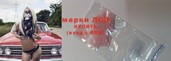 индика Верея