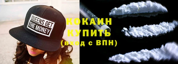 крисы Бронницы