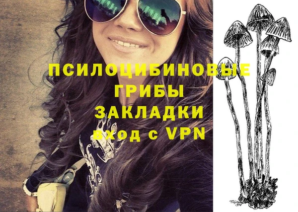 крисы Бронницы