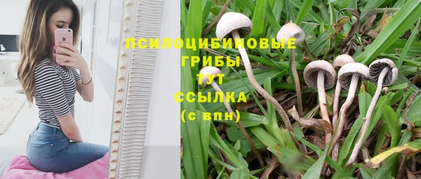 крисы Бронницы