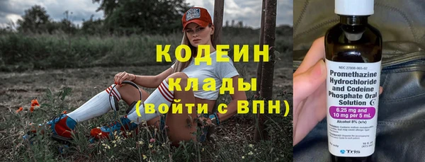 крисы Бронницы