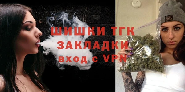 крисы Бронницы