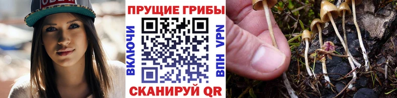 Псилоцибиновые грибы ЛСД  Серпухов 
